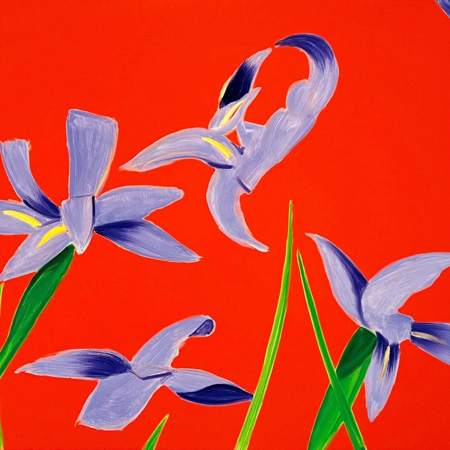 Collect the icons: Matisse, Kahlo, and Basquiat and more